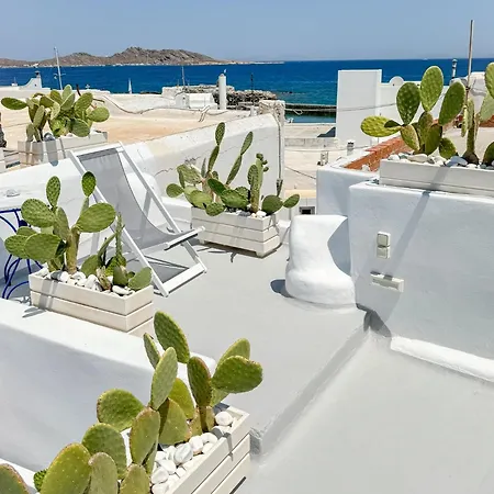 Brunella Paros Naousa (Paros)