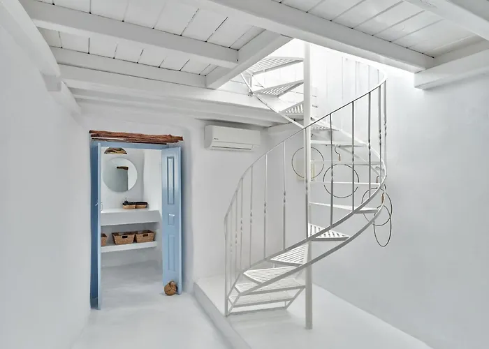 Brunella Paros 纳乌萨