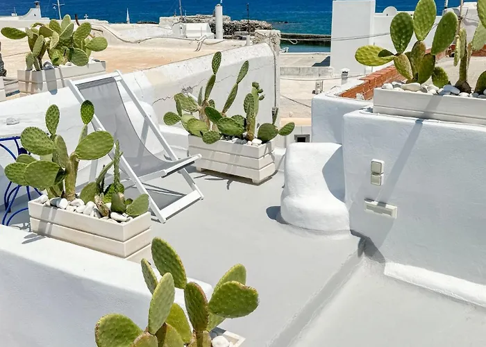 Brunella Paros Naousa (Paros)