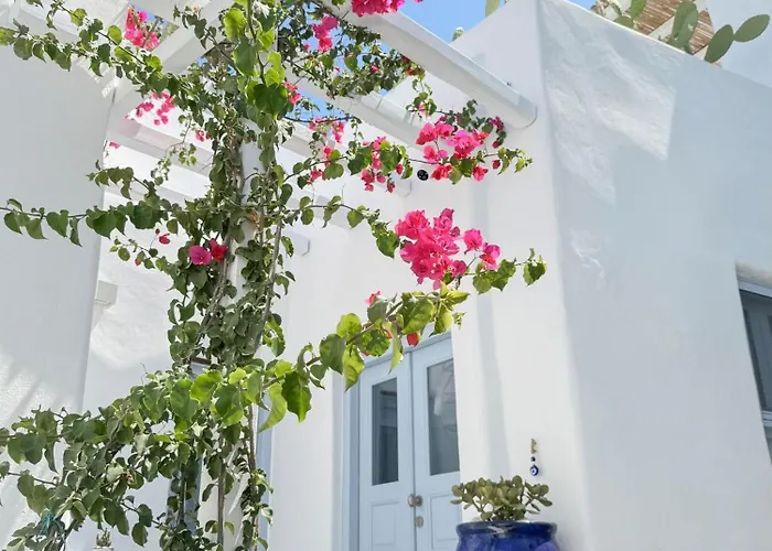 Brunella Paros 度假居 *